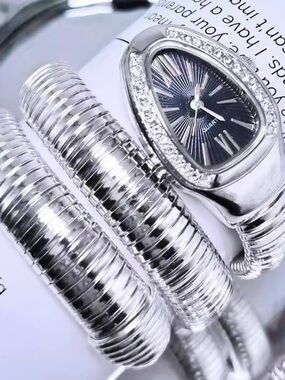 Silver Snake-Style Coil Watch with Black Sunburst Dial